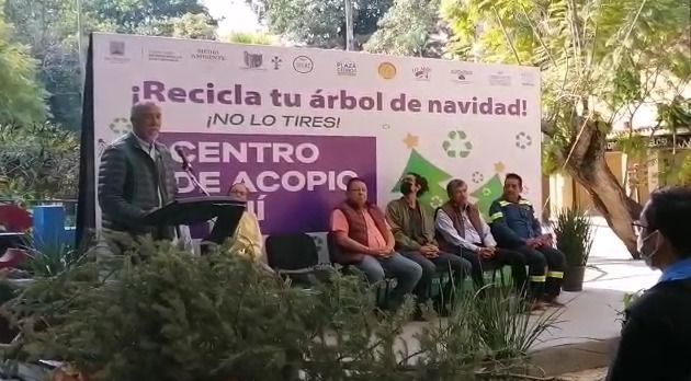 Llaman a no tirar árboles de navidad en vía pública
