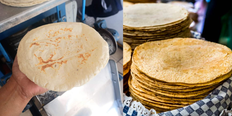 La tortilla cerrará el mes sin aumentos en Morelos