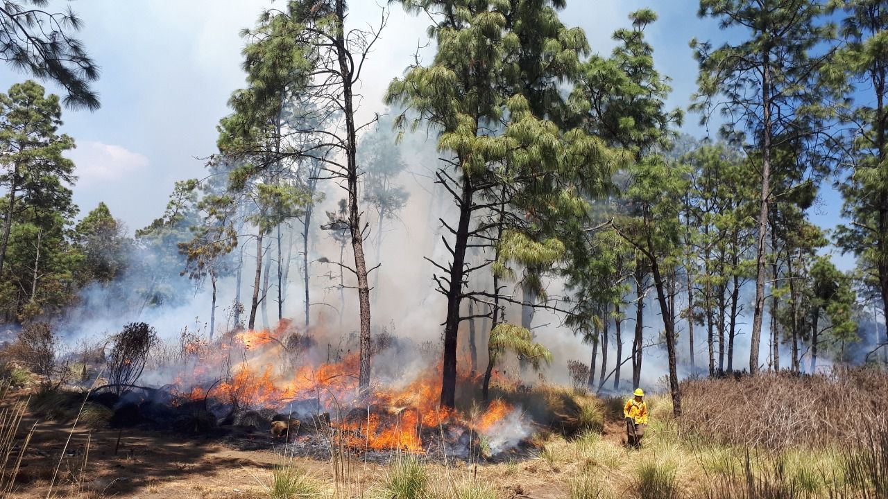 Operará SDS con presupuesto 2022 para incendios