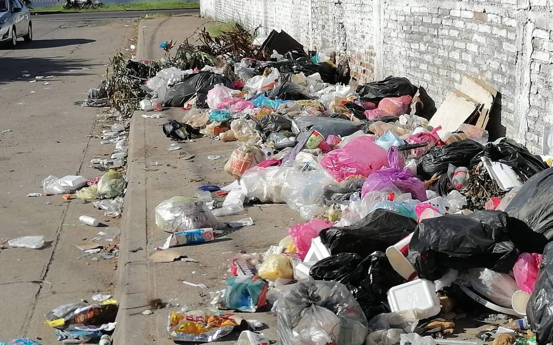 Ciudadanos siguen tirando basura