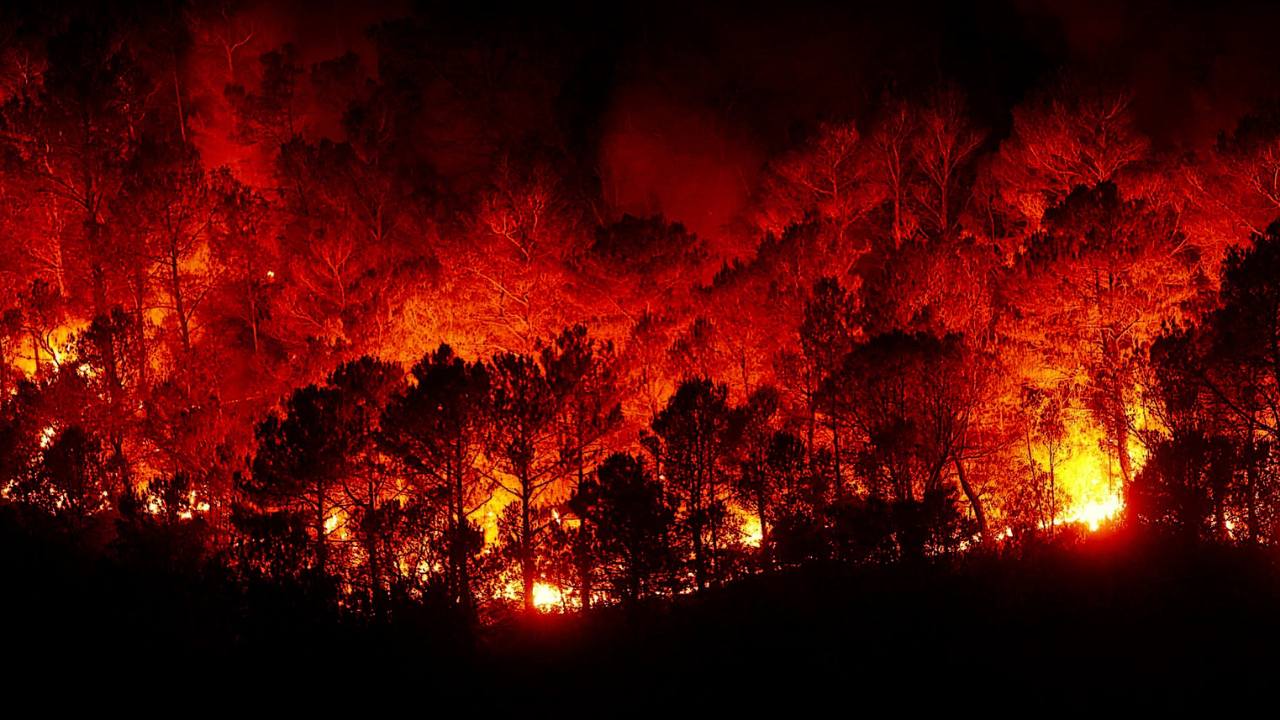 incendio forestal morelos