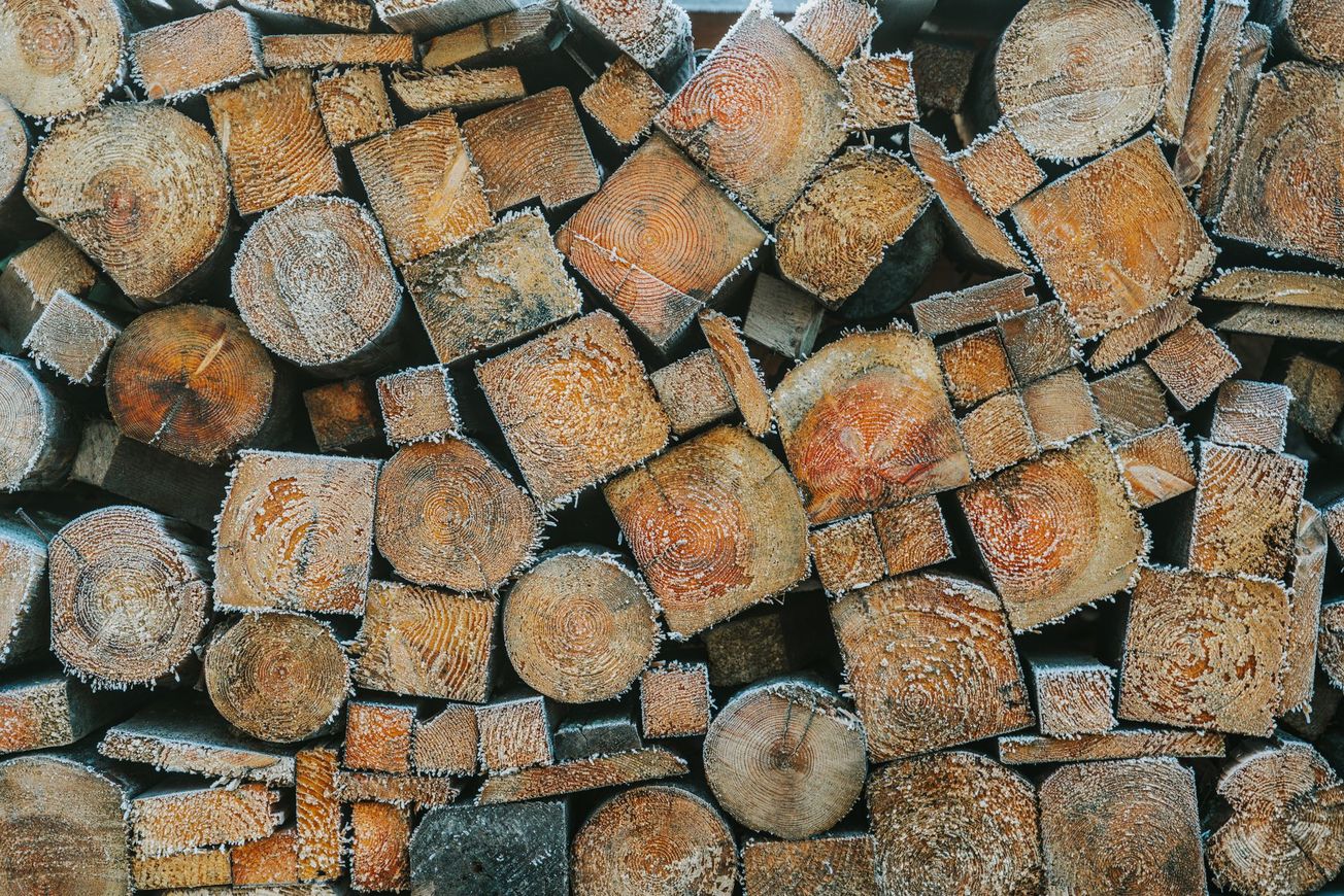 aserradero precio de madera