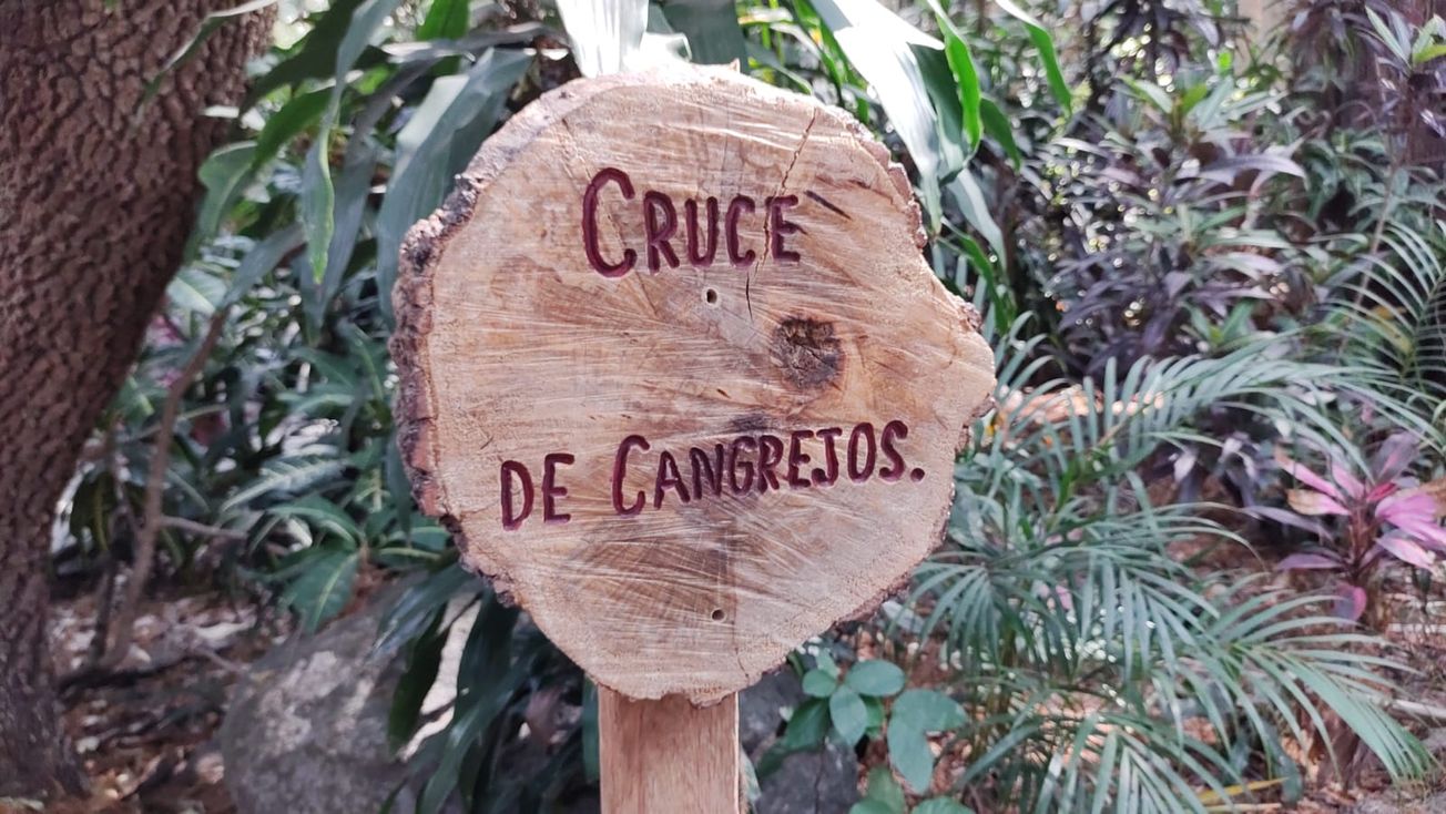 aguas negras y grises