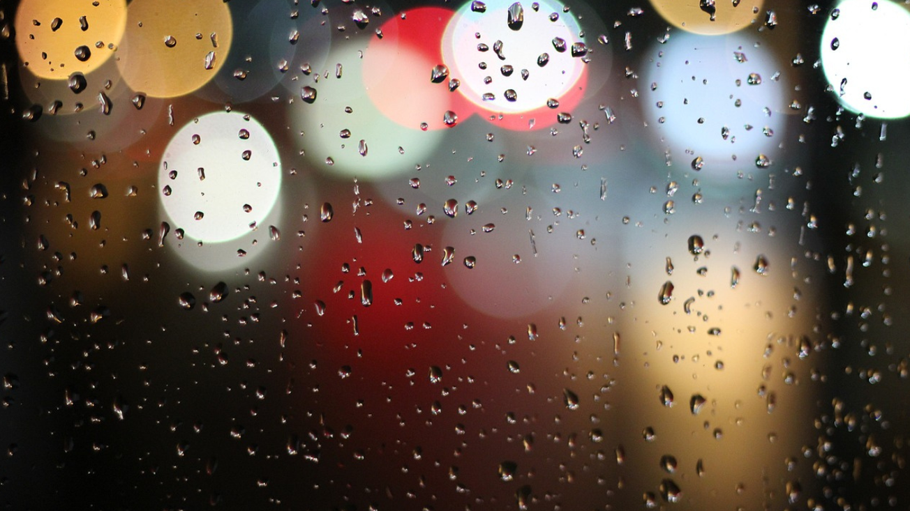 daños por lluvias en morelos