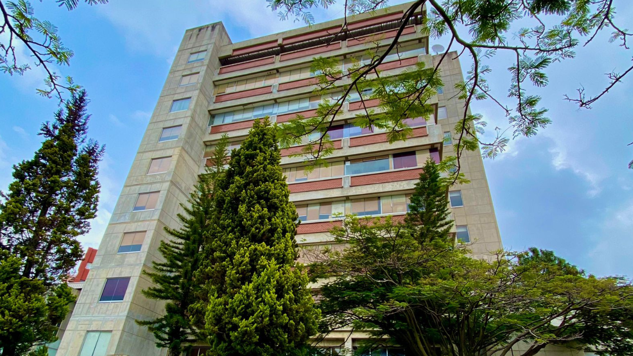 Hoy UAEM elige a su primera rectora: Biografía de las candidatas