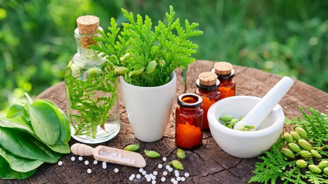 Llega a Morelos el primer festival promotor de la medicina tradicional