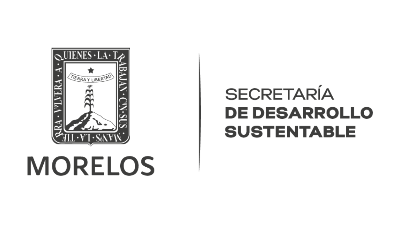 verificacion vehicular tendra ajuste en el costo