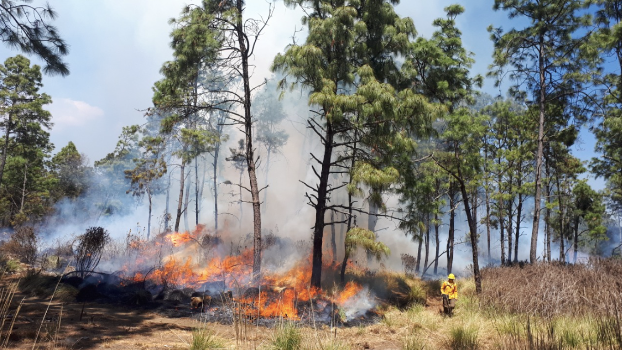 3 incendios forestales en morelos en primer mes de 2024