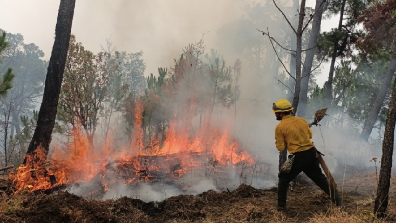 Abril y mayo son los meses con mayor número de incendios