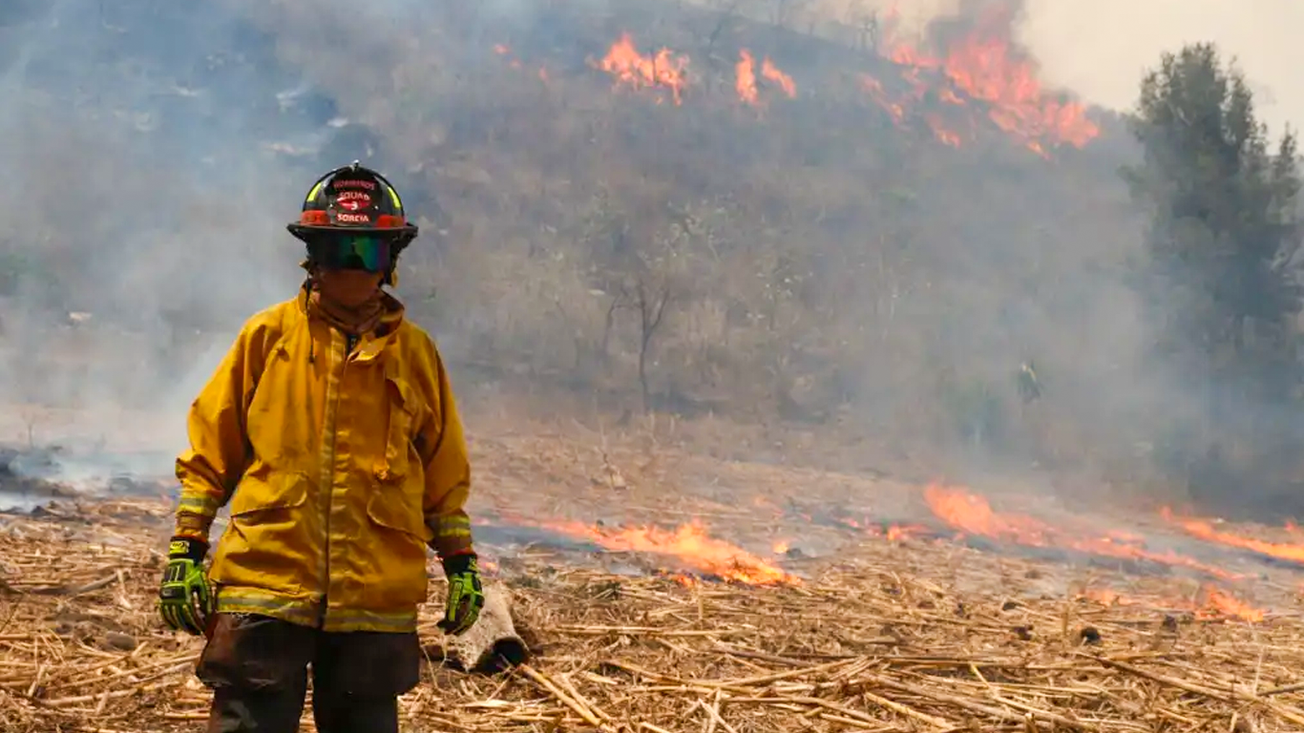 Continúan 113 incendios activos en todo el país afectando 24 áreas naturales protegidas: CONAFOR