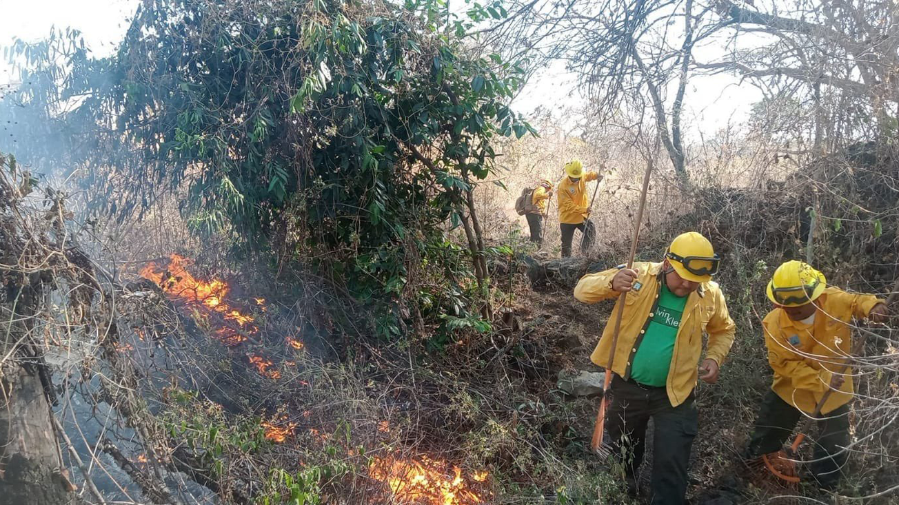 Informa gobierno de Morelos sobre 4 incendios forestales registrados este sábado; tres siguen activos