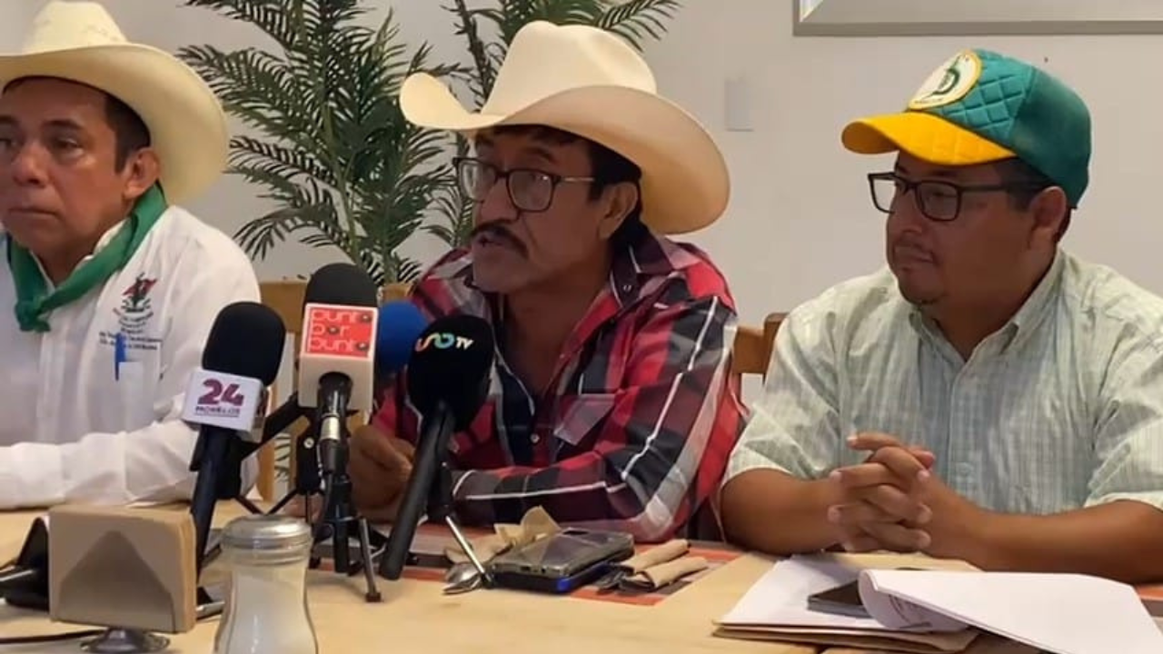 Campesinos crean grupos de autodefensa para cuidar cosechas