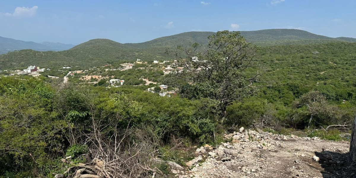 Morelos tiene una superficie de 487 mil hectáreas.