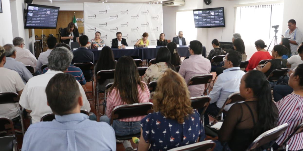 Más de 4 mil registros sobre edad, ingresos y nivel académico de las y los candidatos.
