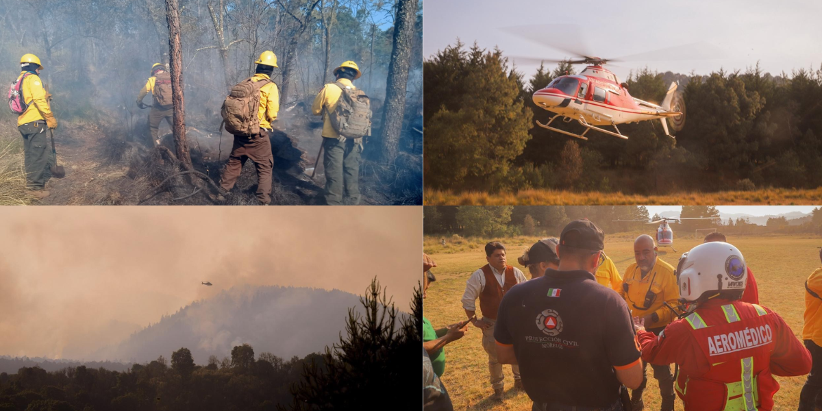 Más de 300 combatientes trabajan en liquidar el incendio 