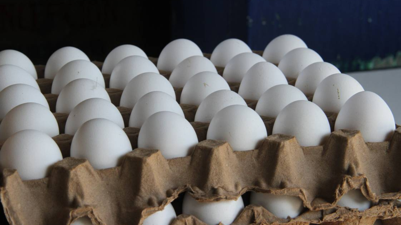 Incrementa el precio del huevo a nivel nacional