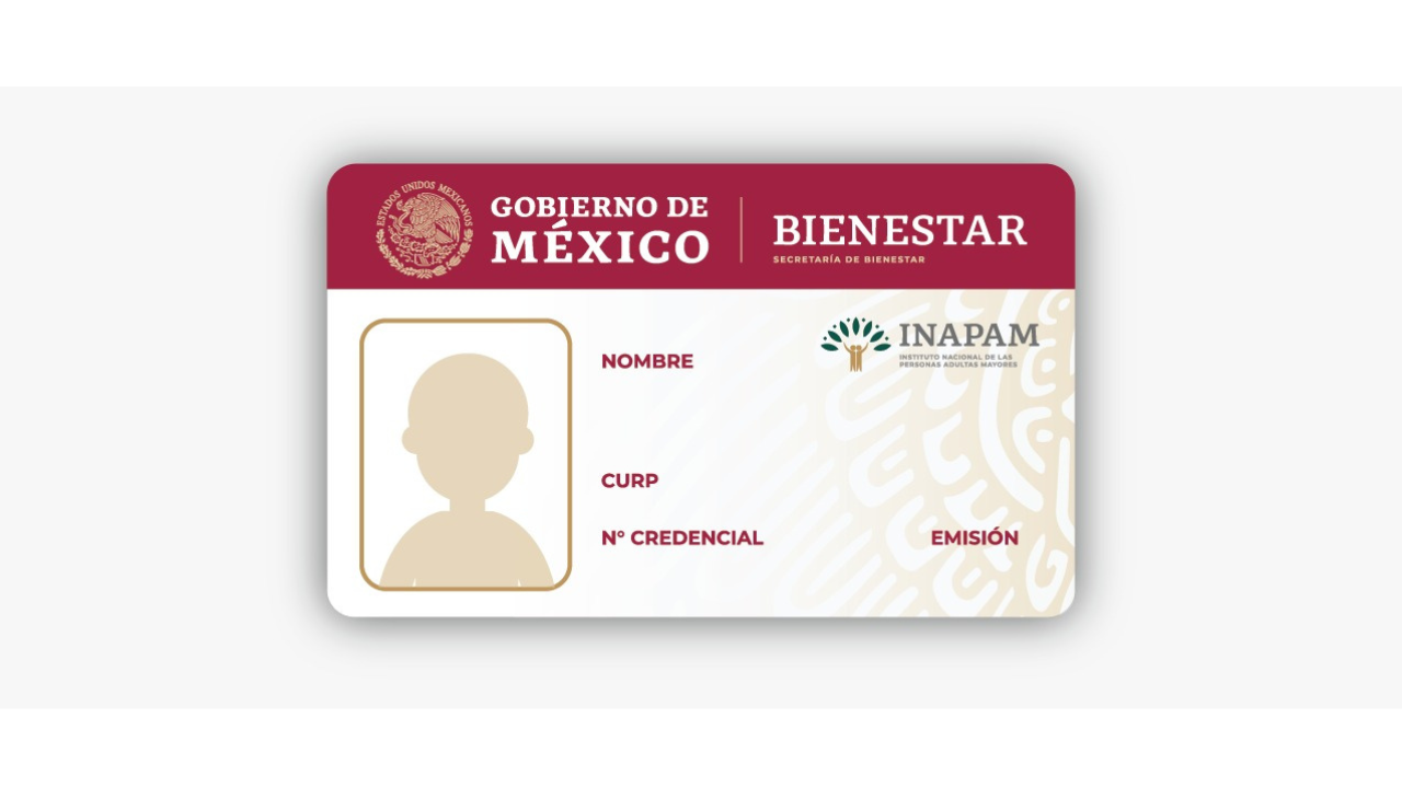 ¿Perdiste tu credencial del INAPAM? Puedes tramitarla todo el año