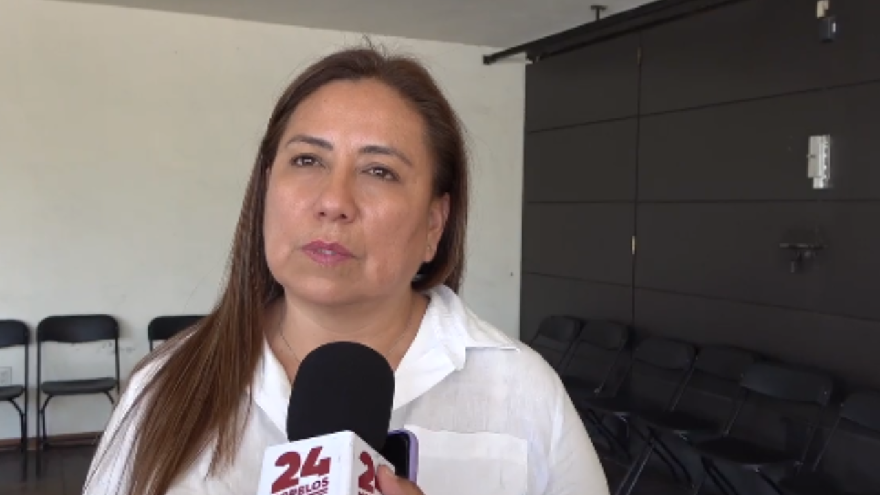 morena elecciones 