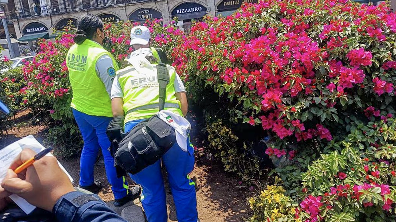 ¡En plena tarde! Localizan una persona sin vida en jardínes del zócalo de la CDMX