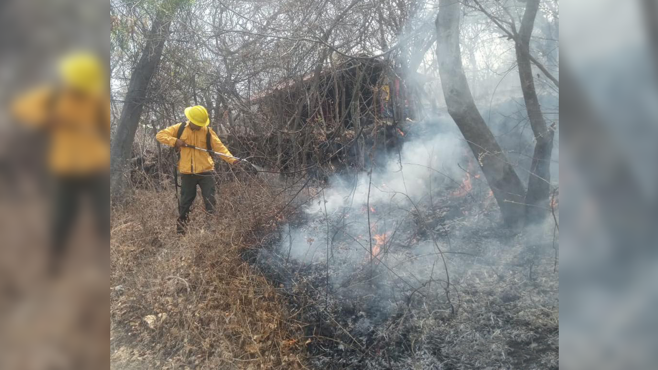 Brigadas lograron sofocar dos incendios en Yautepec este martes
