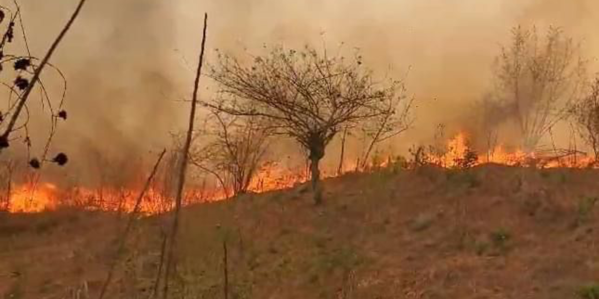 Evacúan habitantes de San Pedro Pochutla, Oaxaca, por incendio forestal
