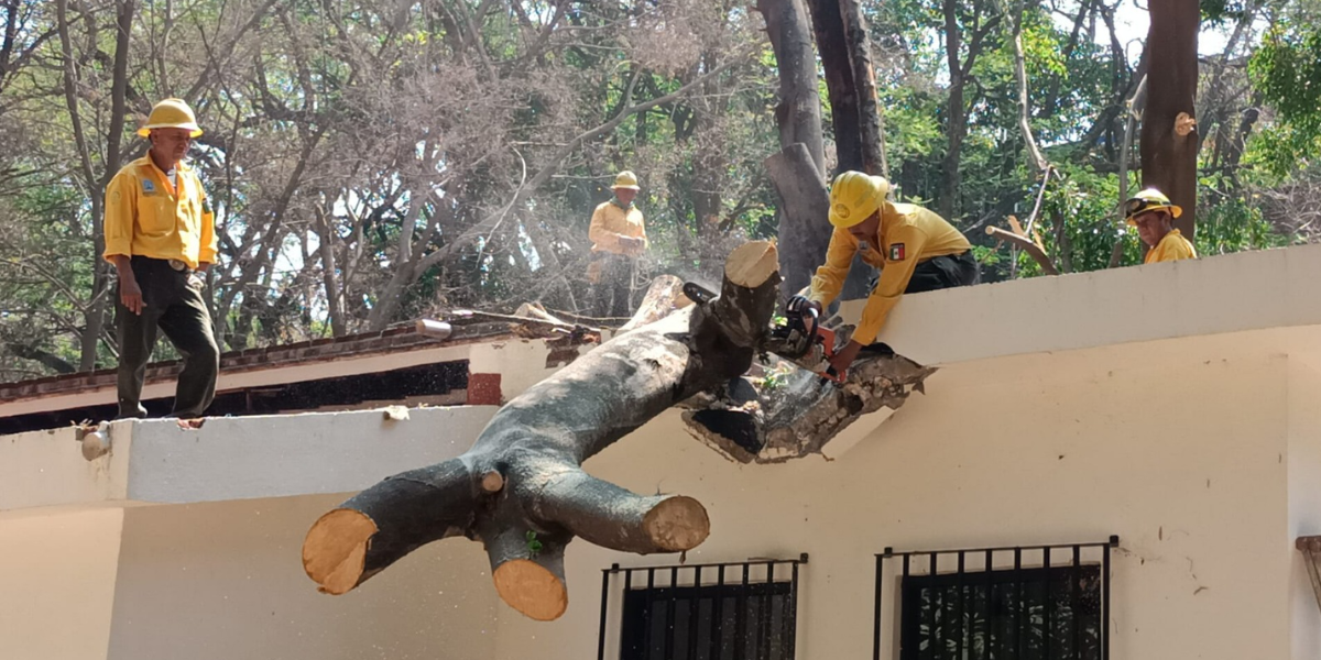 Más de 30 brigadistas participaron en el retiro de vegetación.