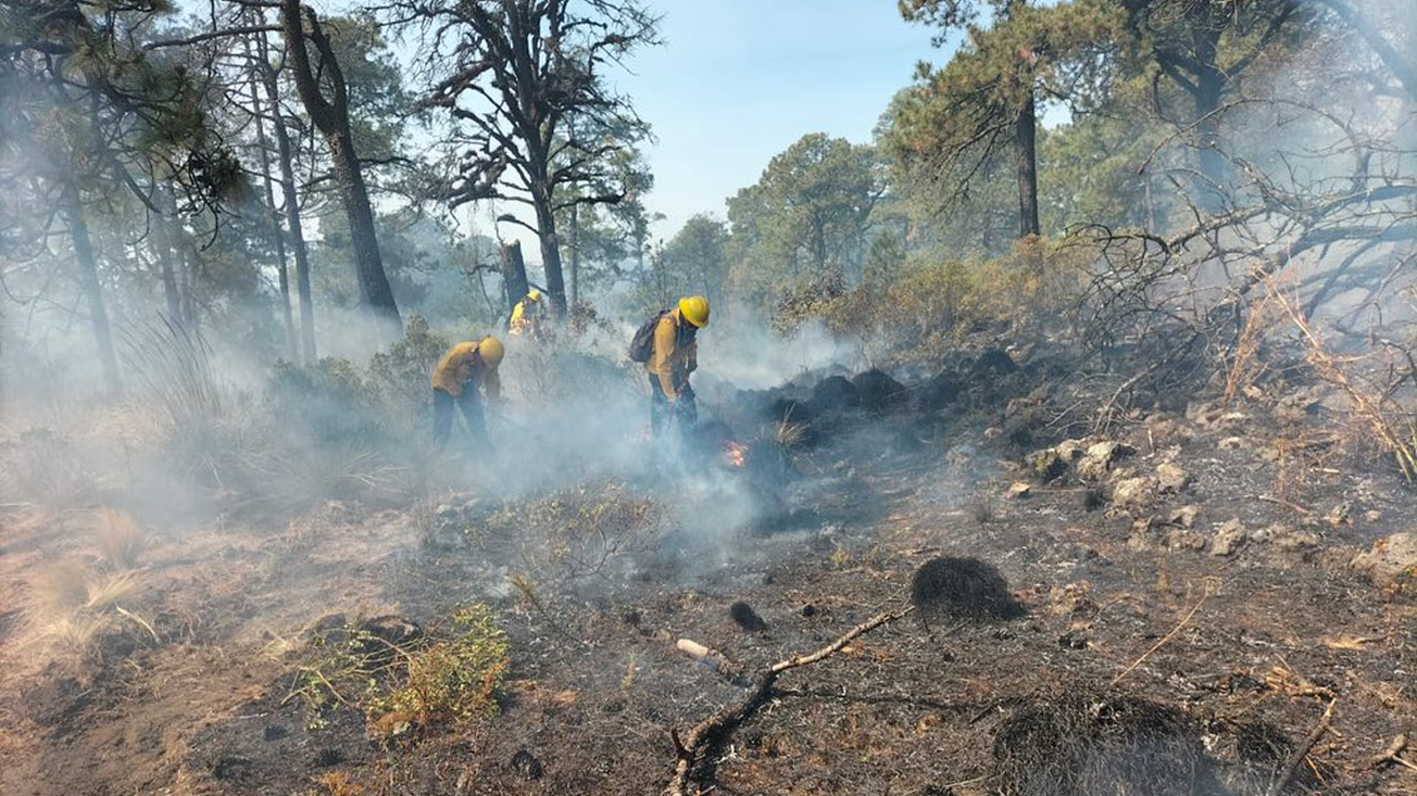 Atienden incendios en seis municipios de Morelos durante este sábado