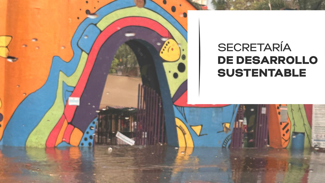 Suspenden entrada al parque Chapultepec debido a inundación de instalaciones