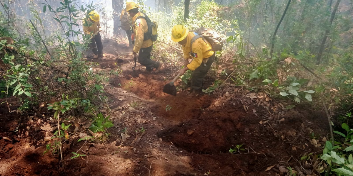 Tres incendios fueron atacados con más de cien brigadistas.