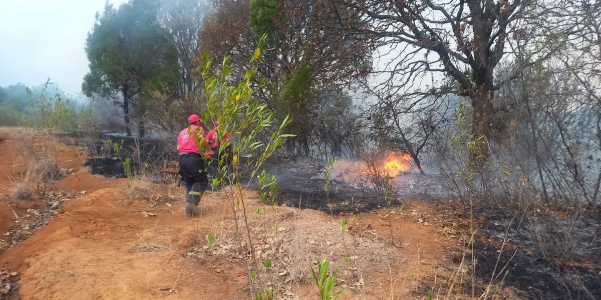 El incendio en La Carpa se reportó al medio día de este miércoles. 