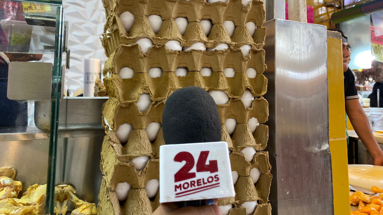 pollo