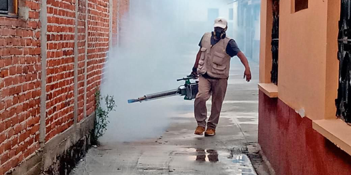 Por las mañanas y tardes los Servicios de Salud llevan a cabo acciones de control.