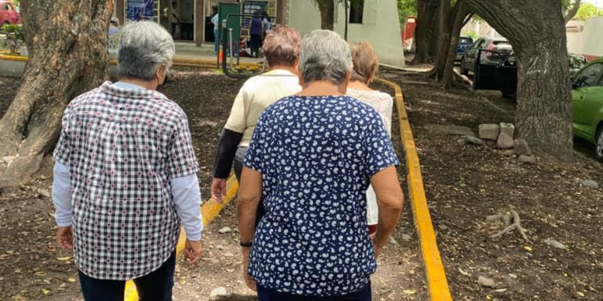 Adultos mayores pueden incorporarse a la vida laboral.