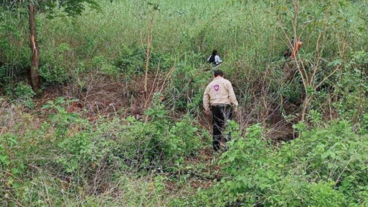 Comisión de Búsqueda de Personas, localiza fosas clandestinas en Zacatepec