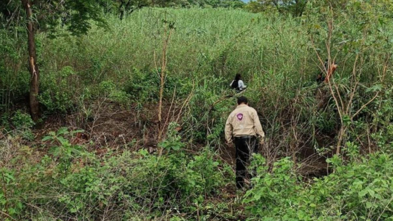 busqueda personas desaparecidas morelos zacatepec