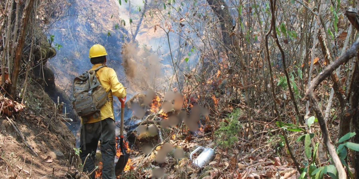 Los incendios forestales se puede prevenir.