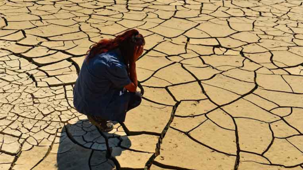 ¡Creo que tengo “ecoansiedad”! ¿Qué es? La UNAM explica
