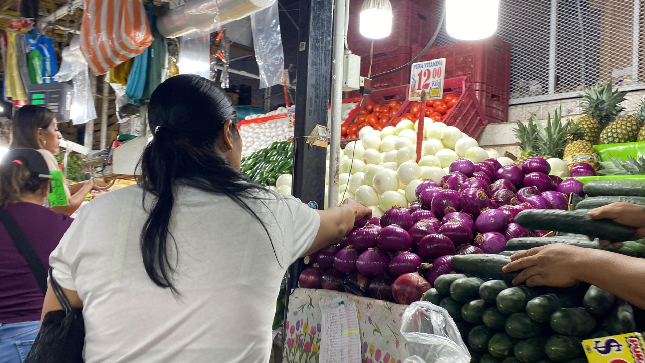 La canasta básica es inestable, todas las semanas hay productos que incrementan: CCE
