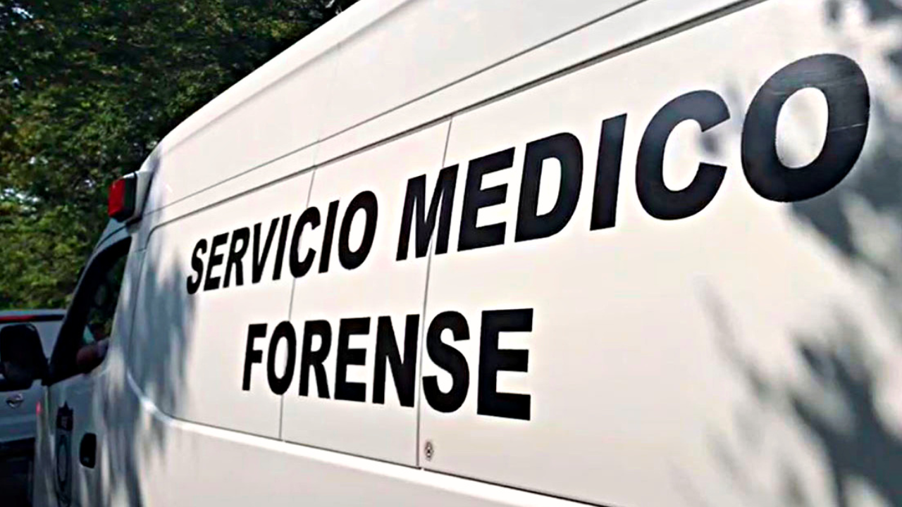 semefo avance