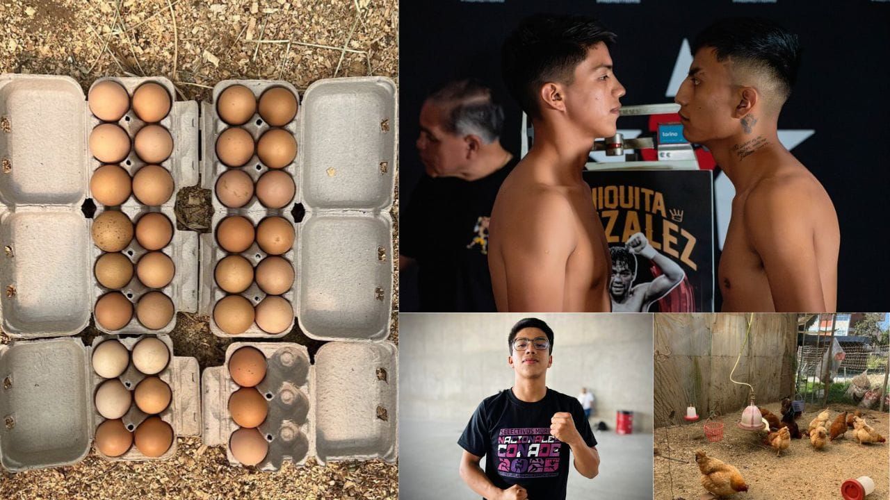 Los tiene de sobra; Morelense productor de huevos pelea hoy en 'Ciudad Neza'