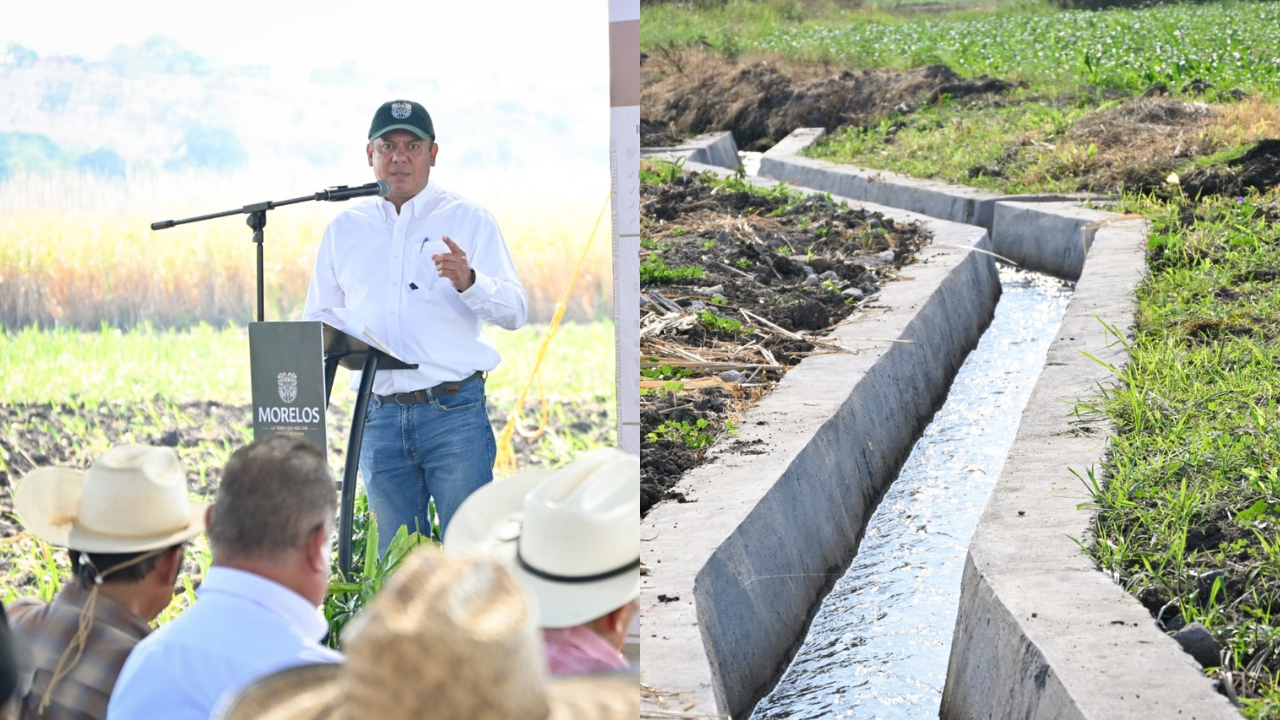 Realiza Gobierno de Morelos, federación y municipio de Mazatepec  mejoras en sector agrícola
