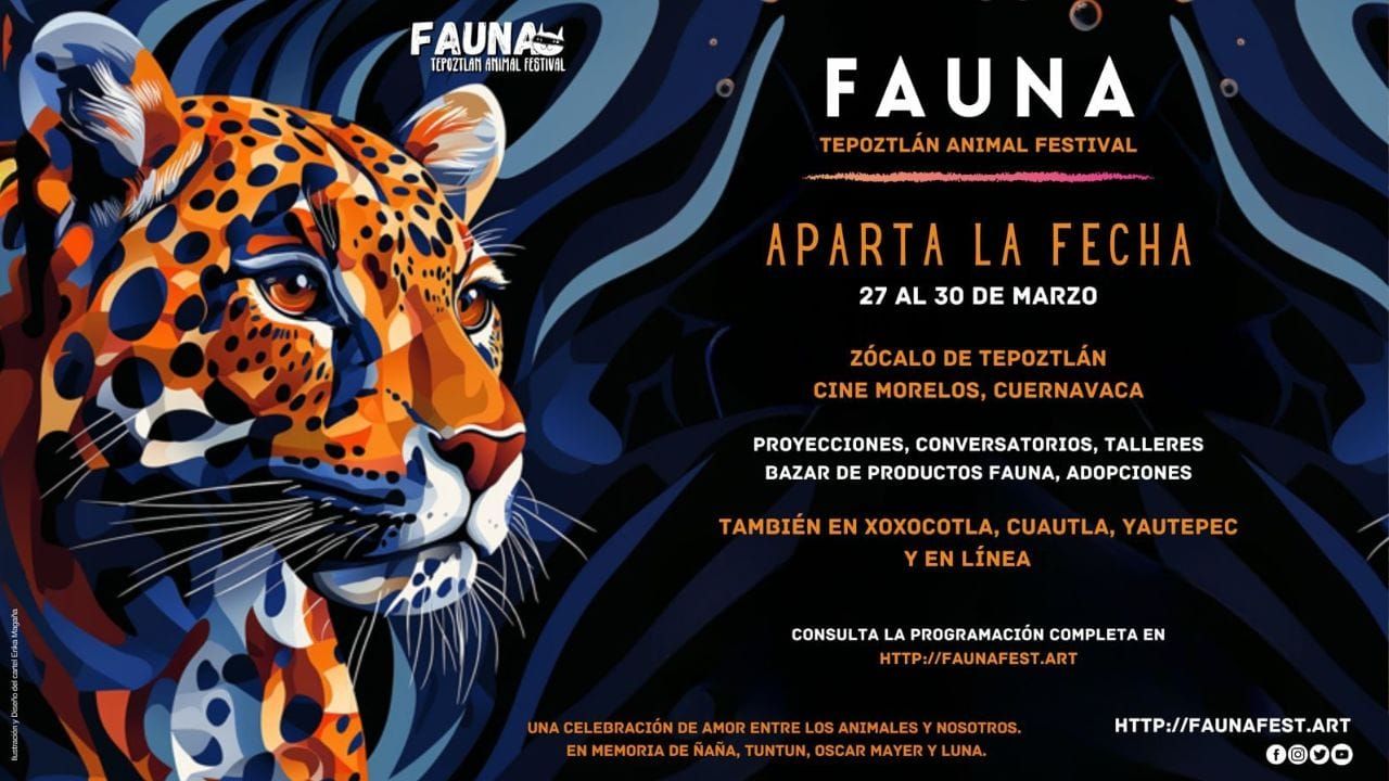 Proyectará Secretaría de Cultura cine gratis en Cuernavaca impulsando conexión y respeto entre humanos/animales