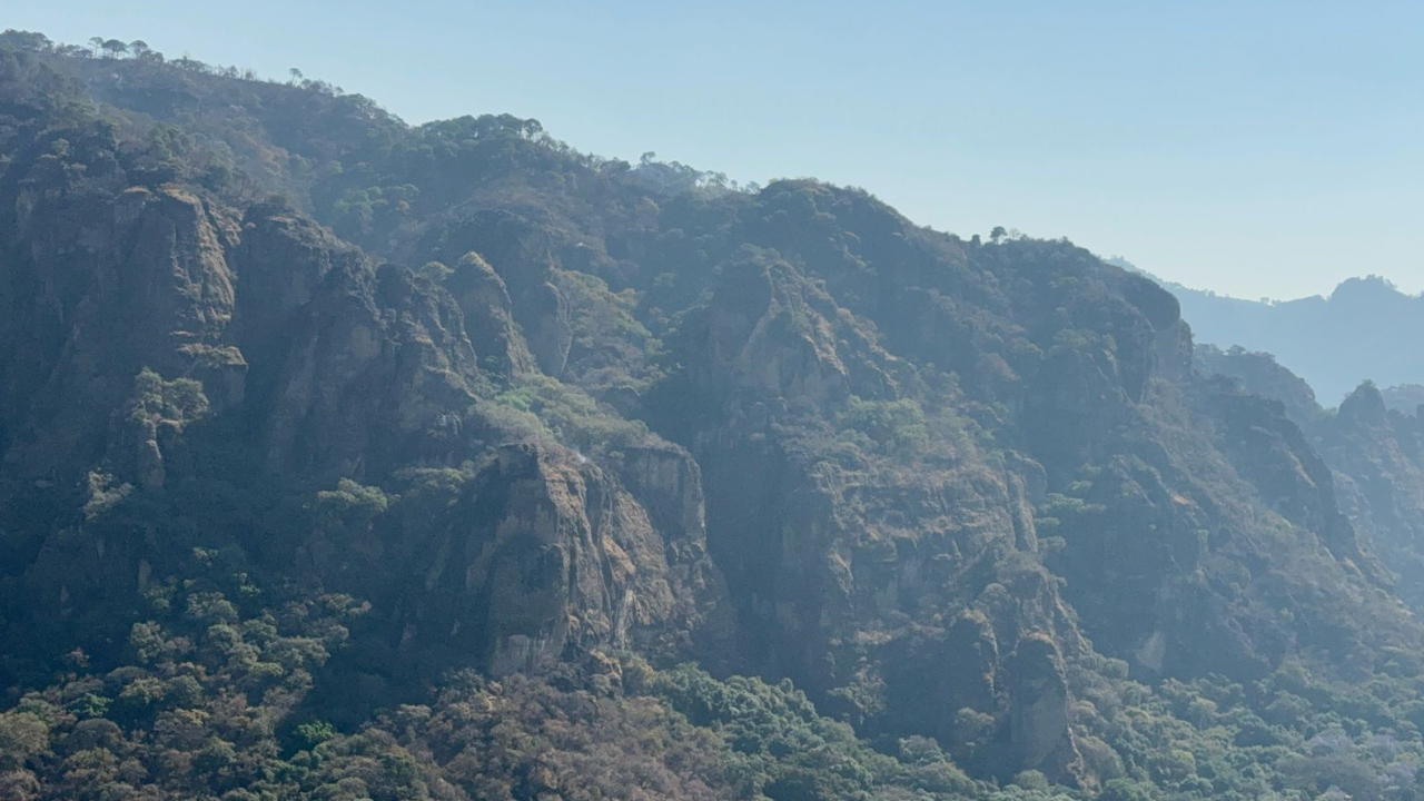 Incendio en Tepoztlán presenta un 100 por ciento de control