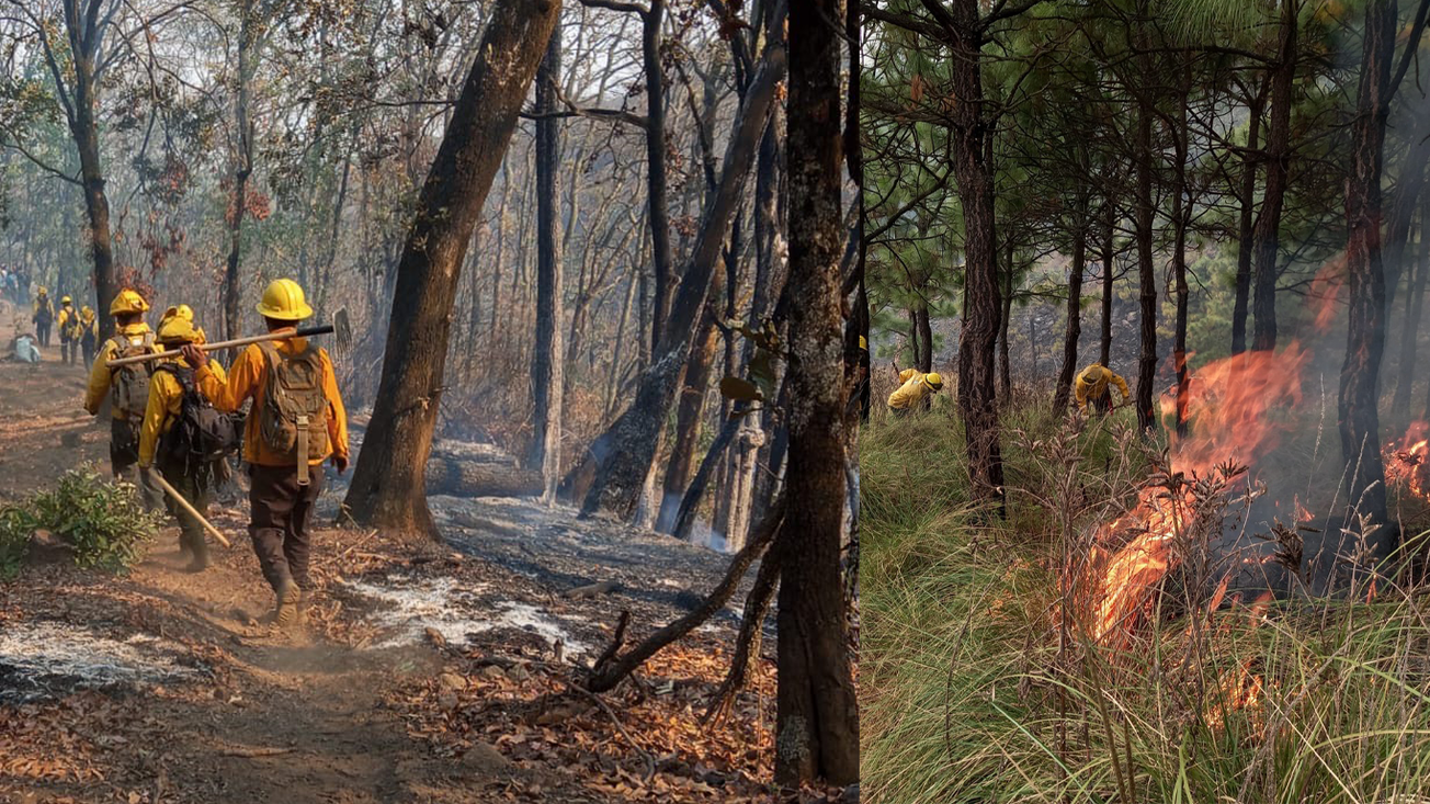 Morelos combate tres incendios forestales en diversas regiones del estado