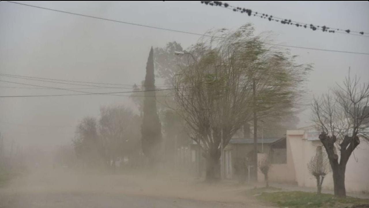 Responde Protección Civil de Cuernavaca ante fuertes vientos en noche de ayer