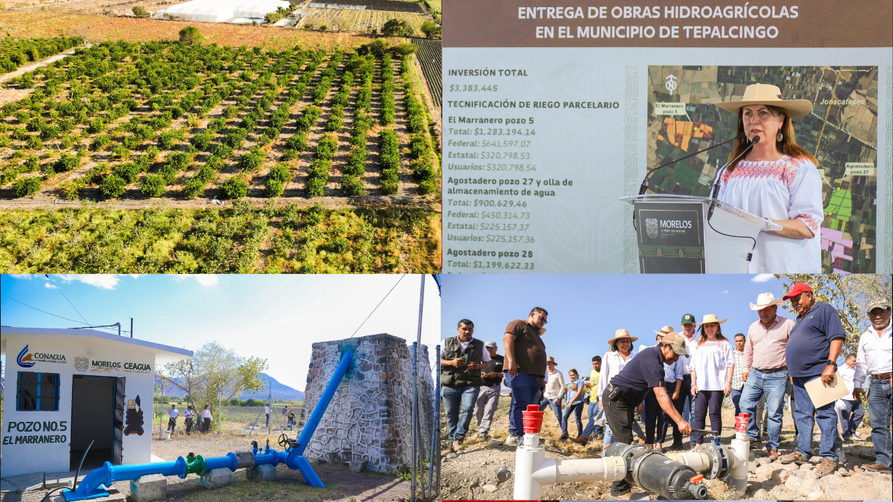 Inaugura Margarita González Saravia pozos agrícolas y tecnificación parcelaria de riego en Tepalcingo