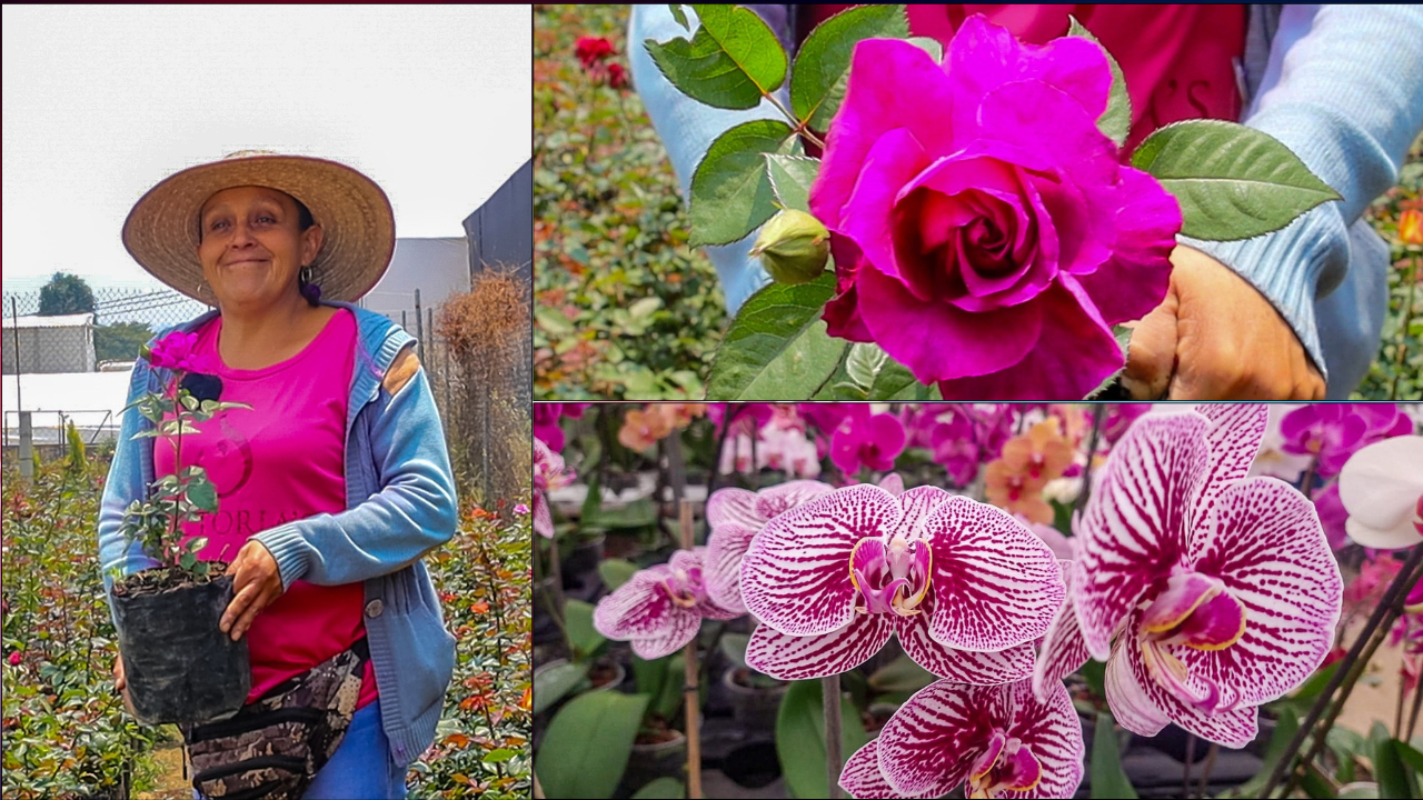 Flores para mamá