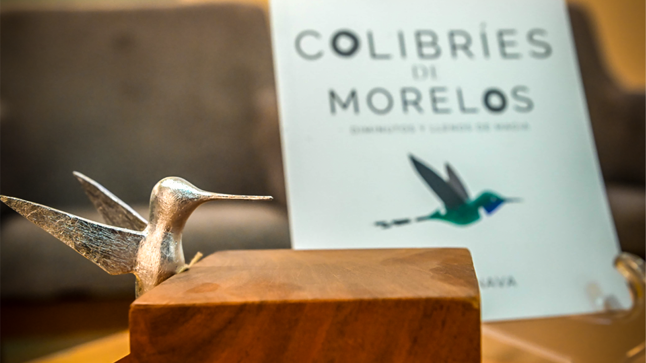 Colibríes de Morelos: un canto a la vida y la esperanza