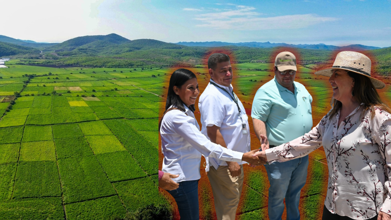 Gobierno de Morelos impulsará la agroecología en la entidad