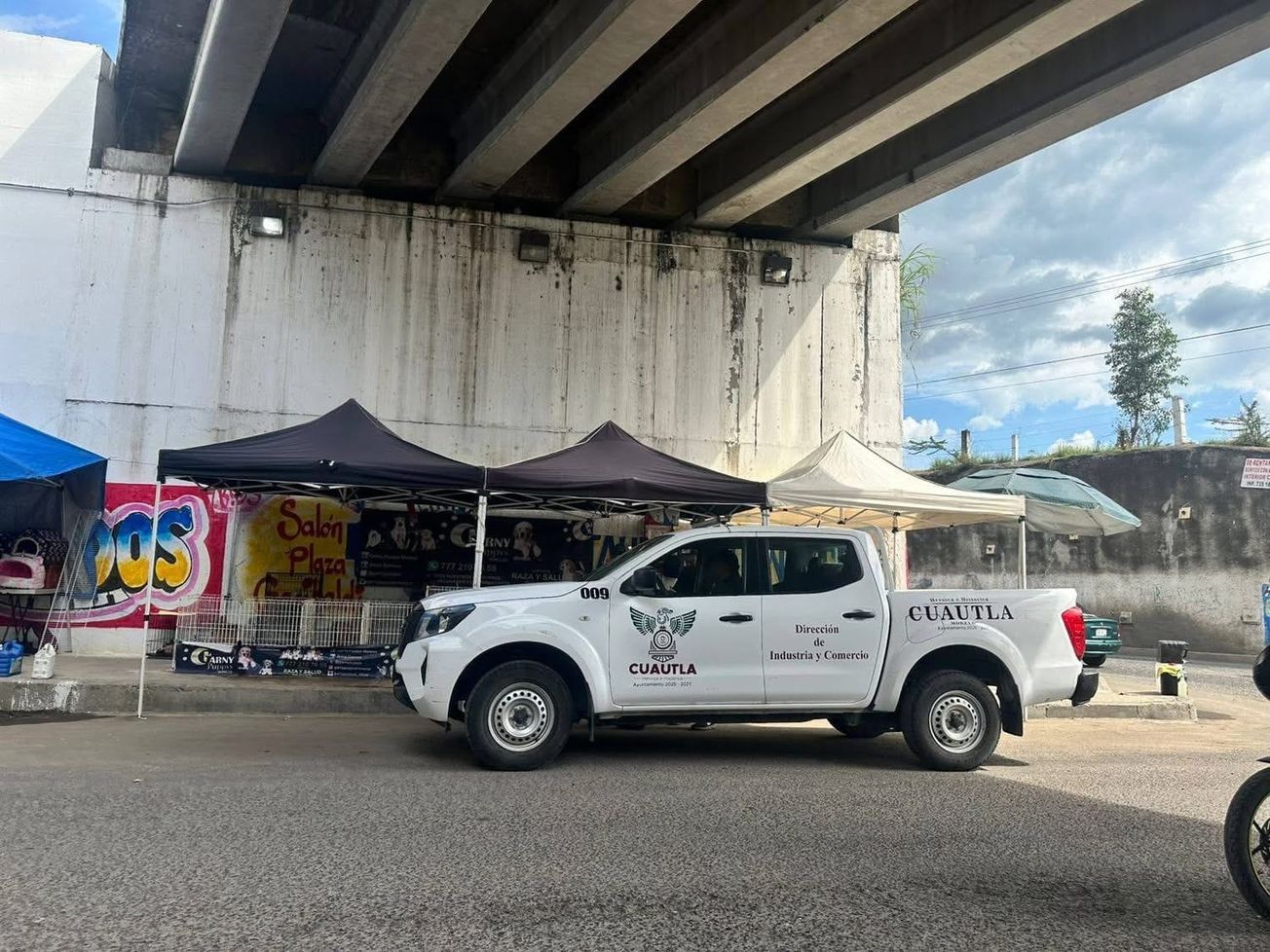 Retira Propaem puesto de venta de perritos